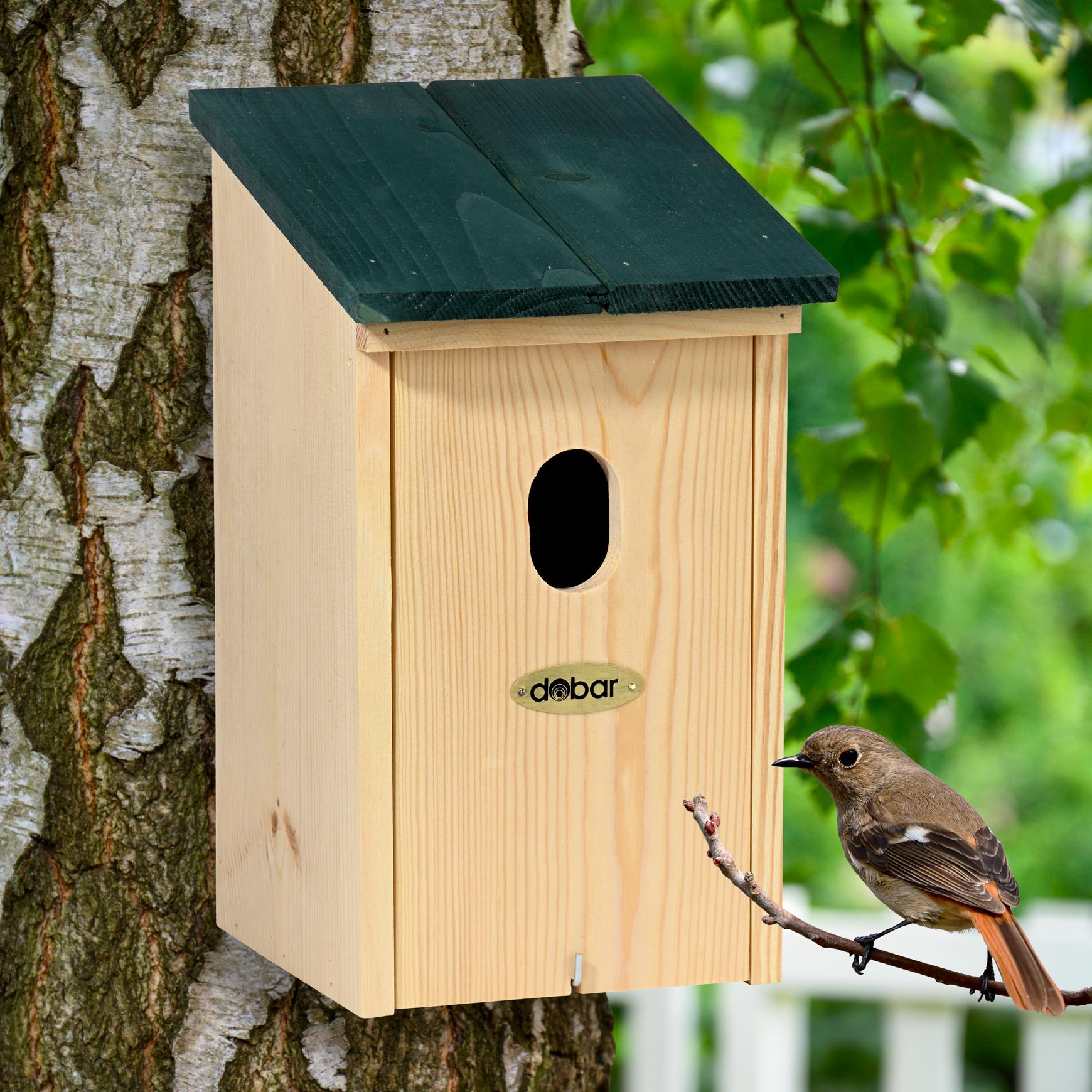 LUXUS-VOGELHAUS® VOBU Nistkasten für Gartenrotschwänze aus FSC®-zertifiziertem Kiefernholz, wetterfest.
