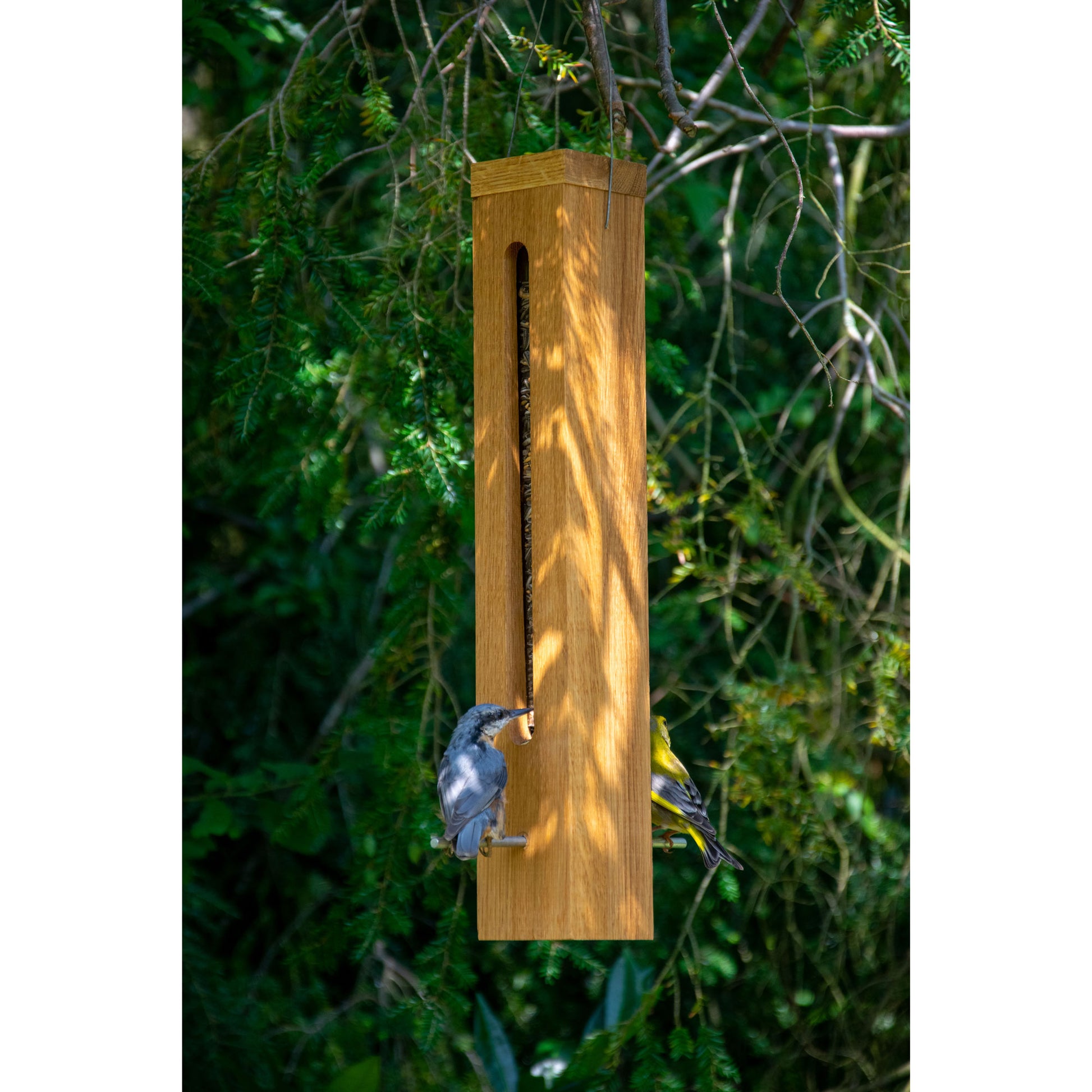 LUXUS-VOGELHAUS Futterstation – Handgefertigte Futtersäule aus Eichenholz mit UV-beständigem Acrylglas-Silo.
