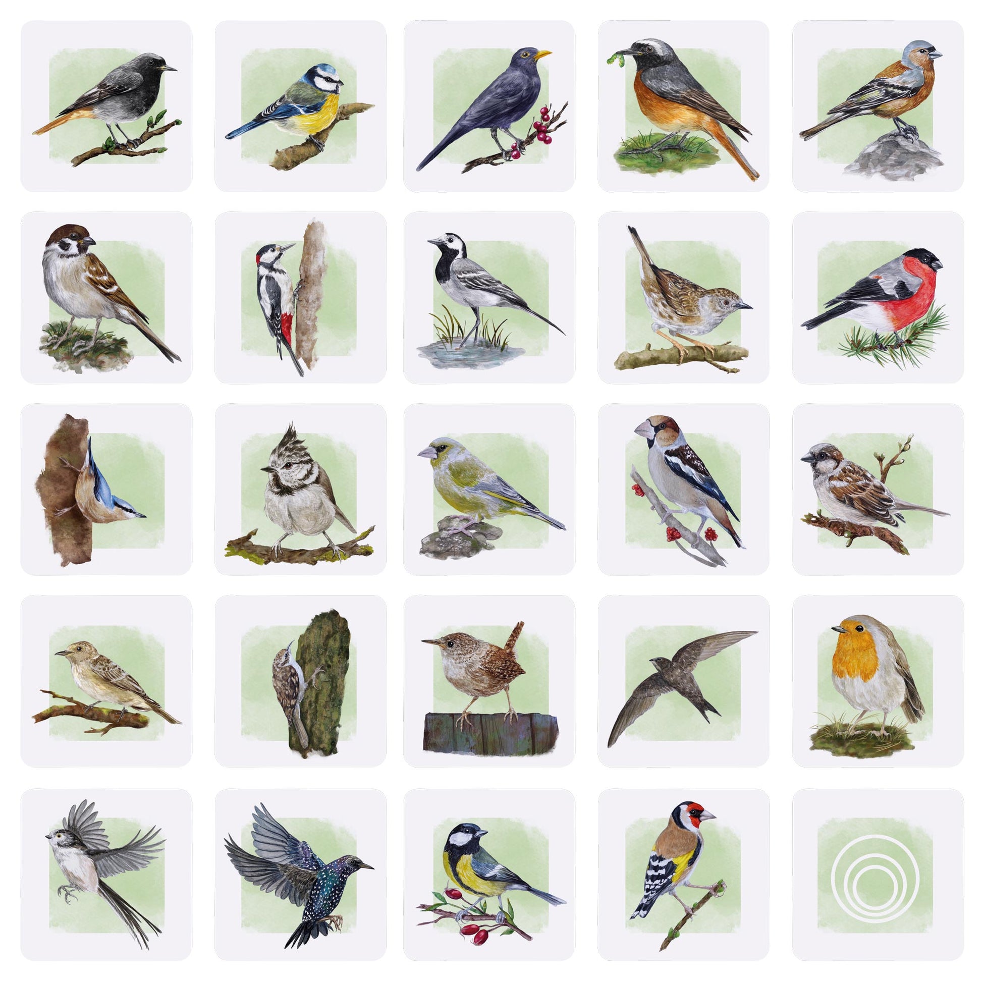 Vogel-Spielkarten - Einzigartige Vogel-Motive Auf Jedem Blatt