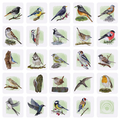 Gedächtnisspiel für Naturfreunde – Memo-Karten mit detaillierten Illustrationen heimischer Vögel
