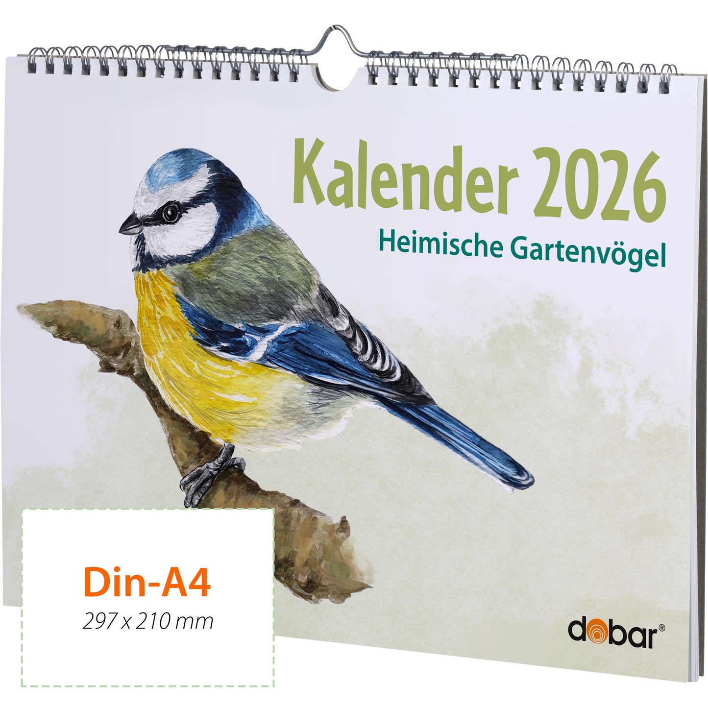 Vogel-Wandkalender 2026 DIN A4 – Jahreskalender mit Wildvogel-Illustrationen