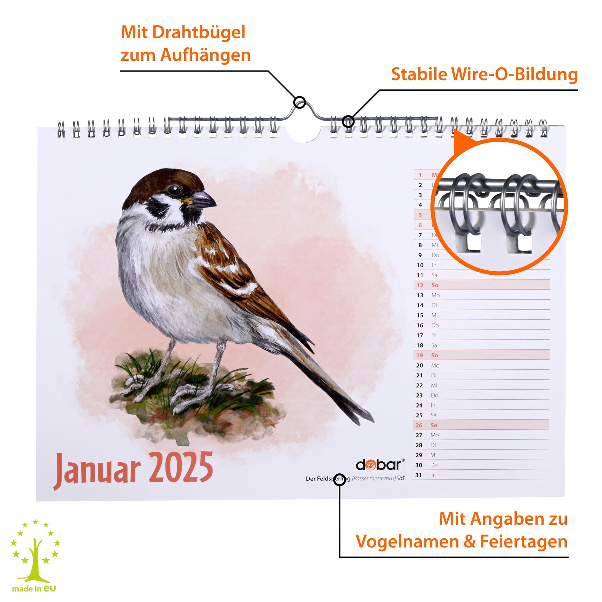 Hochwertiger Vogel-Wandkalender 2025 mit stabiler Drahtbindung zum Aufhängen