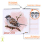 Vogel-Wandkalender 2026 DIN A4 – Jahreskalender mit Wildvogel-Illustrationen