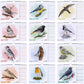 Vogel-Wandkalender 2026 DIN A4 – Jahreskalender mit Wildvogel-Illustrationen