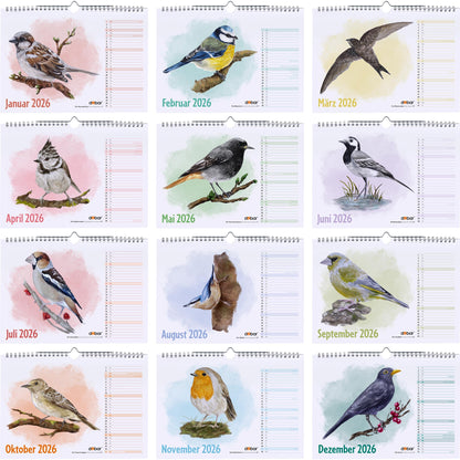 Vogel-Wandkalender 2026 DIN A4 – Jahreskalender mit Wildvogel-Illustrationen