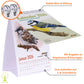 Vogel-Tischkalender DIN A5 2026 – Monatskalender mit Wildvogel-Illustrationen