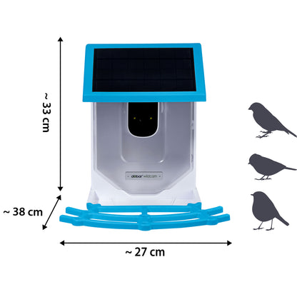 Vogelhaus mit Live-Streaming per App, angetrieben durch ein Solarpanel.
