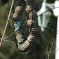 Metallener Vogelfutterring mit Haken zum Aufhängen im Garten
