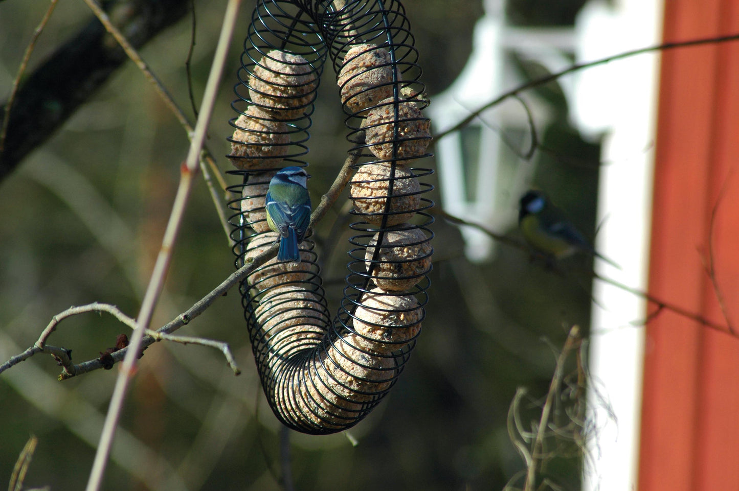 Metallener Vogelfutterring mit Haken zum Aufhängen im Garten
