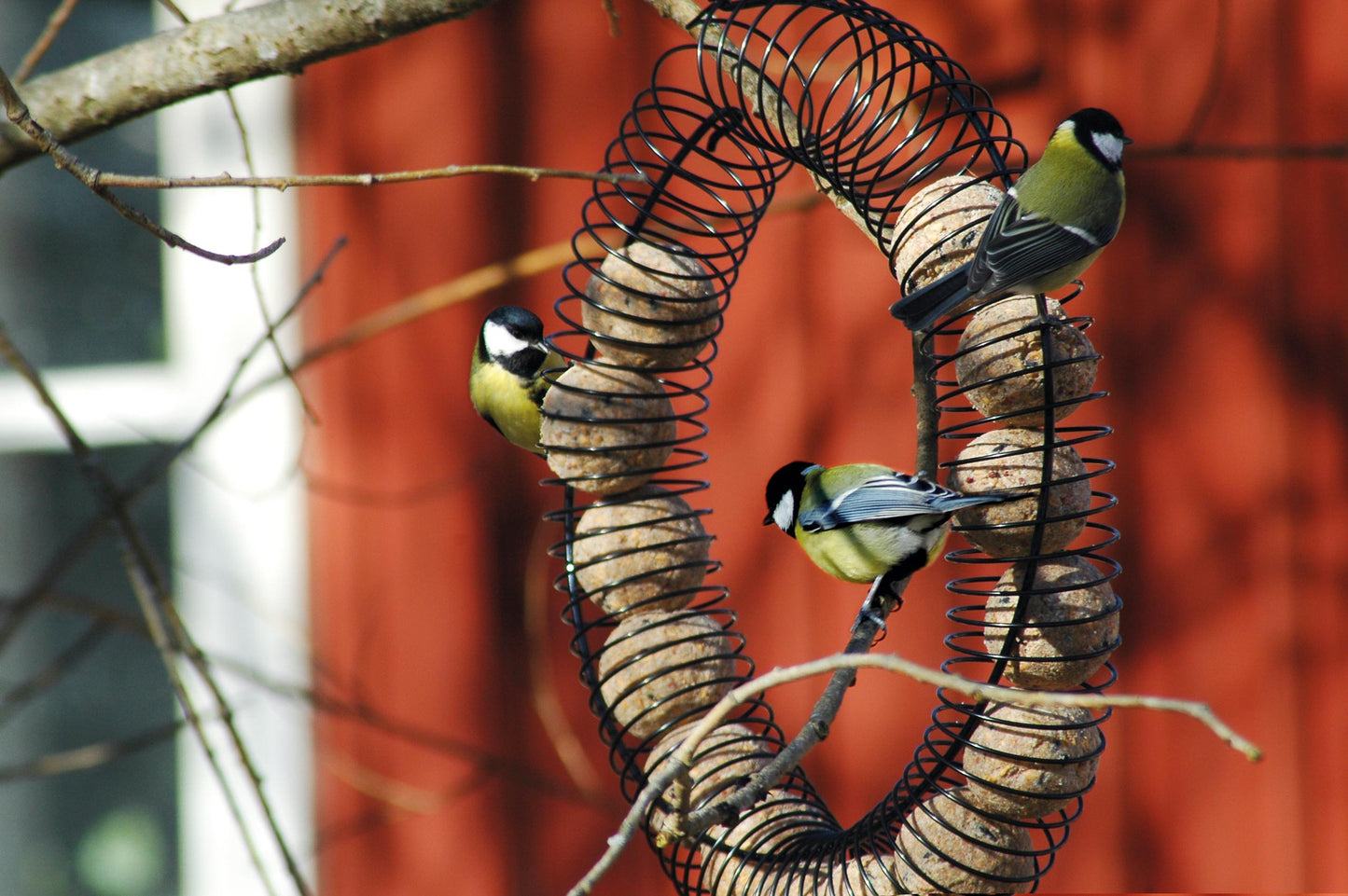 Große Futterstelle für Vögel mit spiralförmiger Metallkonstruktion
