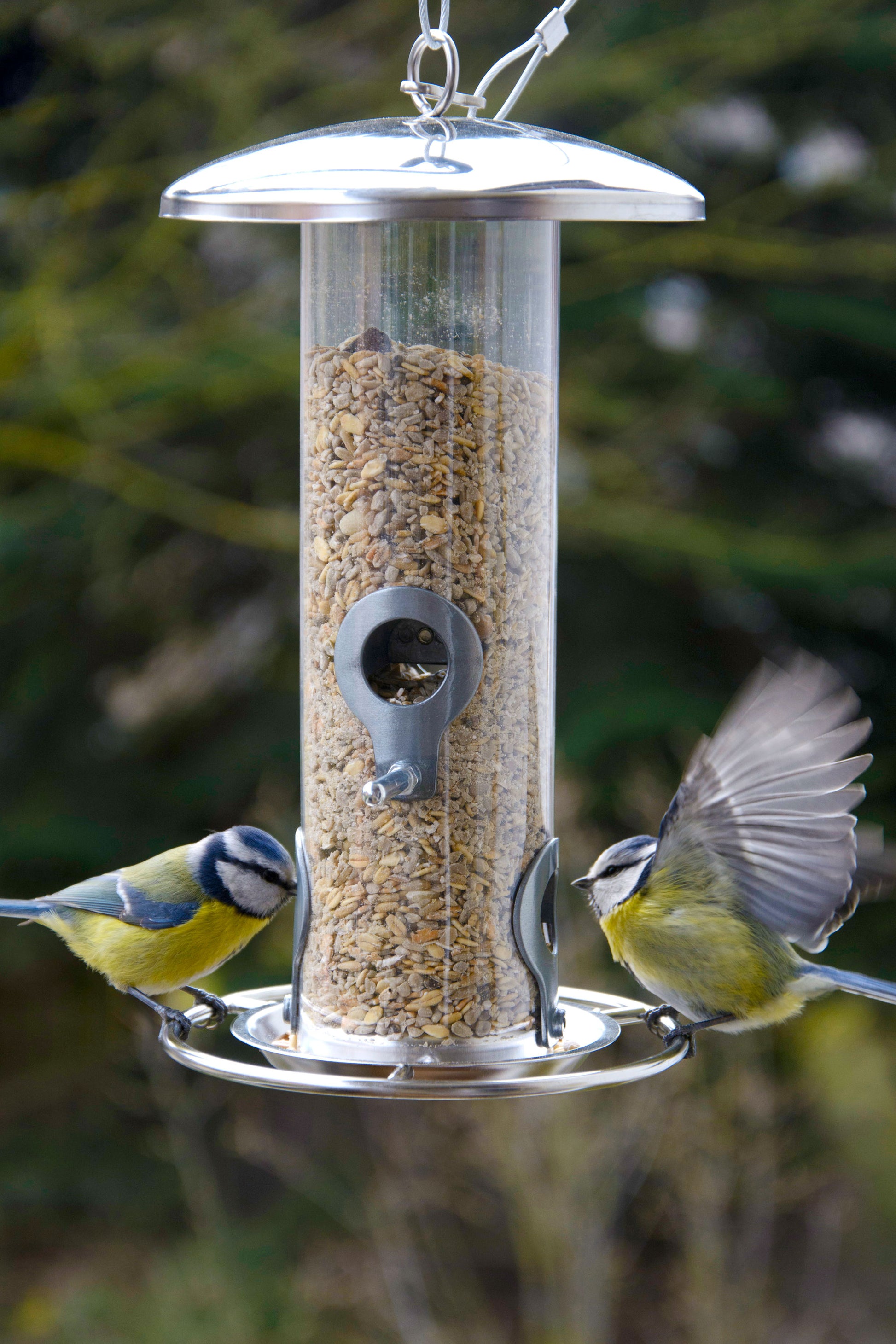 Hängende Futtersäule mit Edelstahlseil für Wildvögel im Garten
