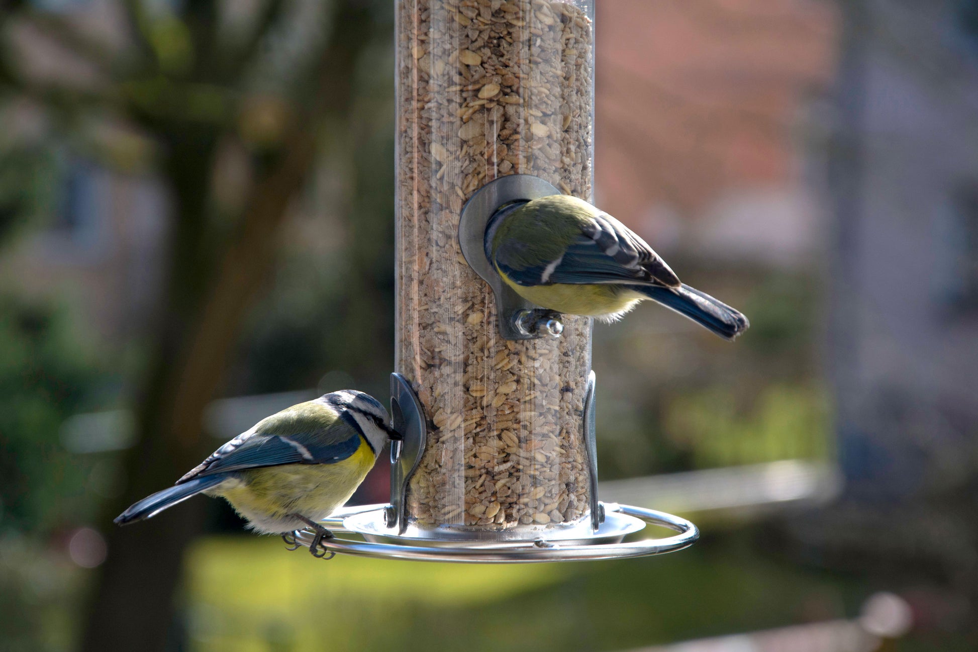 Metallene Futtersäule mit Anflugstangen und Futteröffnungen für Vögel
