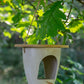 Art. 10200e - Vogel-Futterspender "Eco" aus recycelten Pflanzenfasern