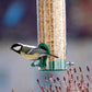 Art. 11502 - Transparente Wildvogel - Futterstation zum Aufhängen - Luxus-Vogelhaus.de