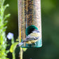 Art. 11502 - Transparente Wildvogel - Futterstation zum Aufhängen - Luxus-Vogelhaus.de