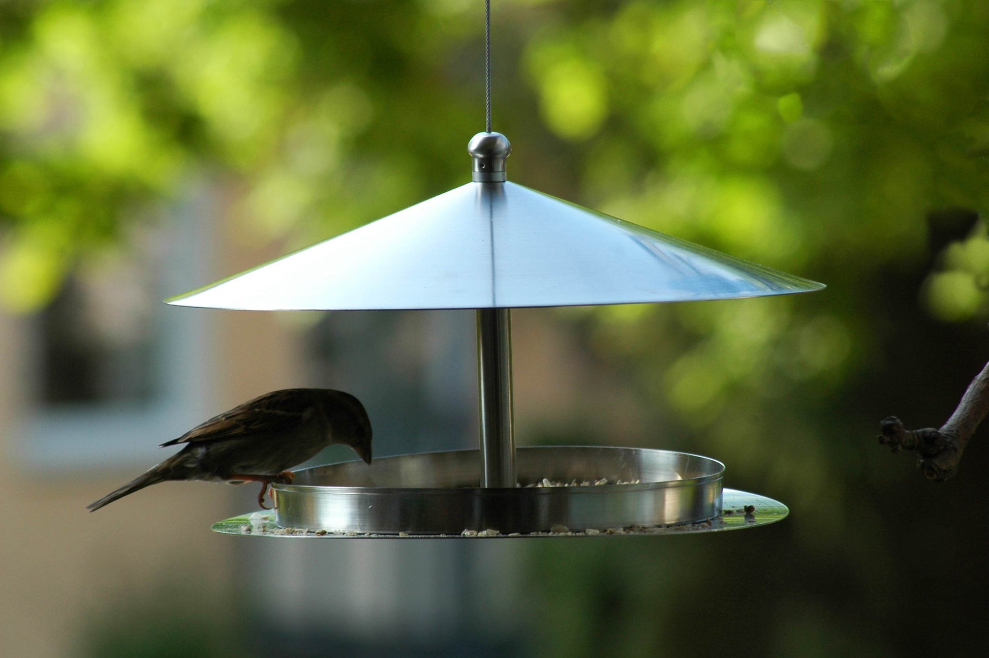 Edelstahl-Vogelfutterstation mit Futtertablett und rostfreier Schlaufe zum Aufhängen.
