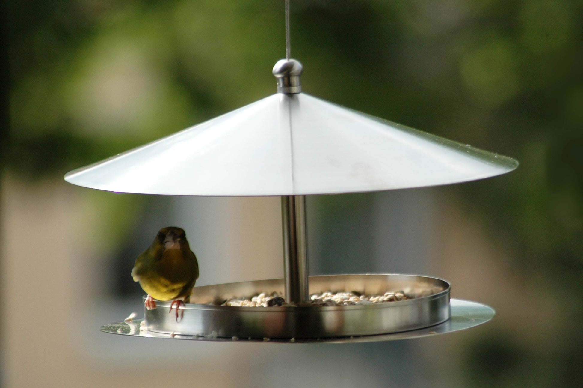 Wetterfestes Vogelhaus "Silberglanz" im modernen Design, ideal für Wildvögel.
