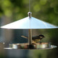 Detailansicht des großen Dachüberstands, der das Vogelfutter vor Regen schützt.
