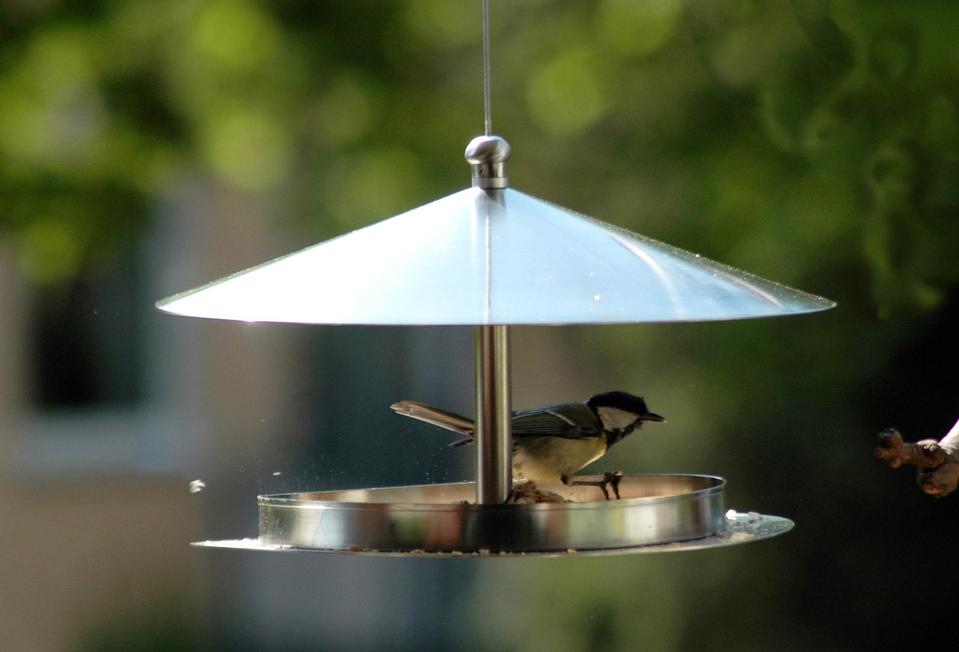 Detailansicht des großen Dachüberstands, der das Vogelfutter vor Regen schützt.
