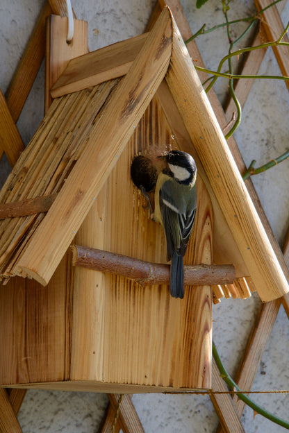 Art.13070e - Geflammter Nistkasten mit Schilfrohr-Spitzdach, Nisthöhle für Wildvögel, Kiefer - Luxus-Vogelhaus.de