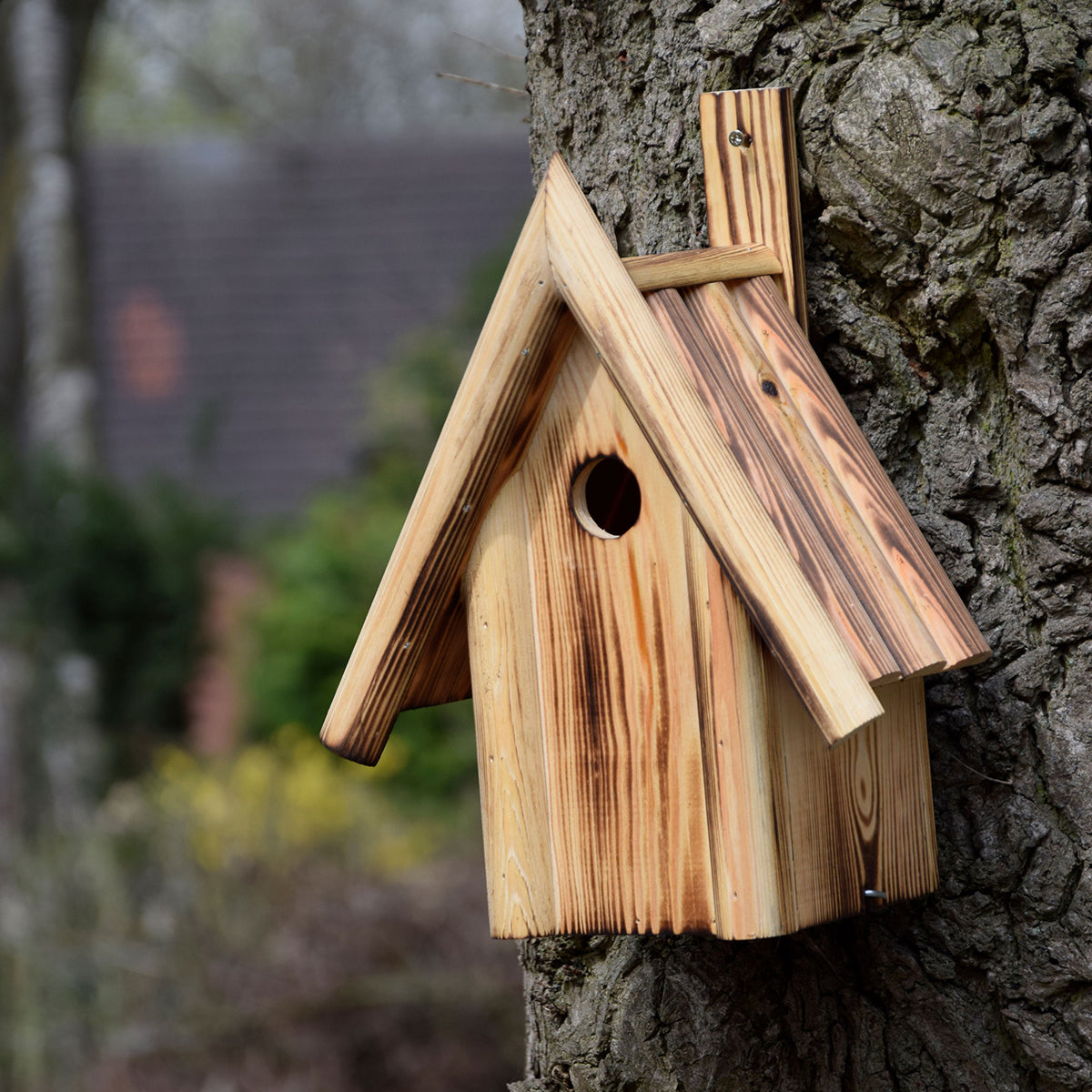 Vogelhaus mit seitlicher Reinigungsklappe und geflammtem Design

