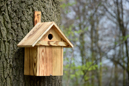 Handgefertigter Nistkasten aus Kiefernholz mit wetterfester Oberflächenbehandlung und stabilem Spitzdach.