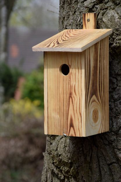 Art.13080e - Geflammter Nistkasten mit Befestigungsleiste, Nisthöhle für Wildvögel, Kiefer - Luxus-Vogelhaus.de