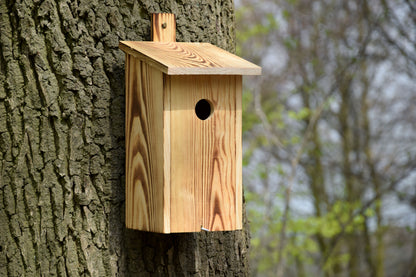 Art.13080e - Geflammter Nistkasten mit Befestigungsleiste, Nisthöhle für Wildvögel, Kiefer - Luxus-Vogelhaus.de