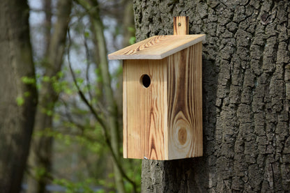 Art.13080e - Geflammter Nistkasten mit Befestigungsleiste, Nisthöhle für Wildvögel, Kiefer - Luxus-Vogelhaus.de