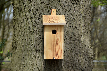 Art.13080e - Geflammter Nistkasten mit Befestigungsleiste, Nisthöhle für Wildvögel, Kiefer - Luxus-Vogelhaus.de