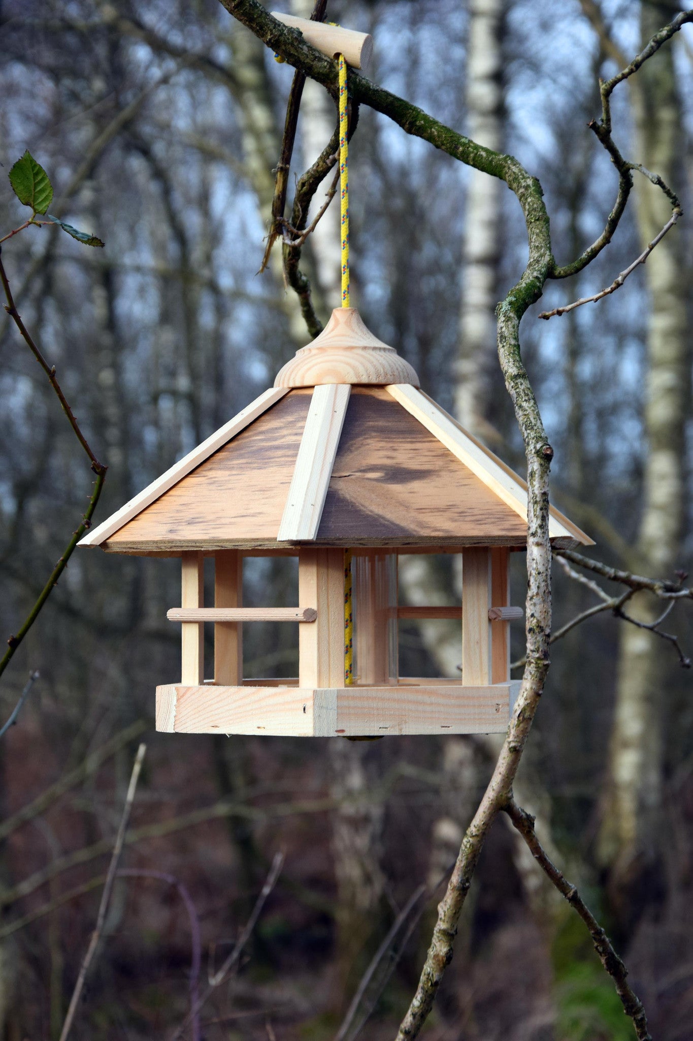 Robustes Futterhaus „Camouflage“ – Design-Vogelhaus mit UV-beständigem Acrylglas und einfacher Aufhängung.
