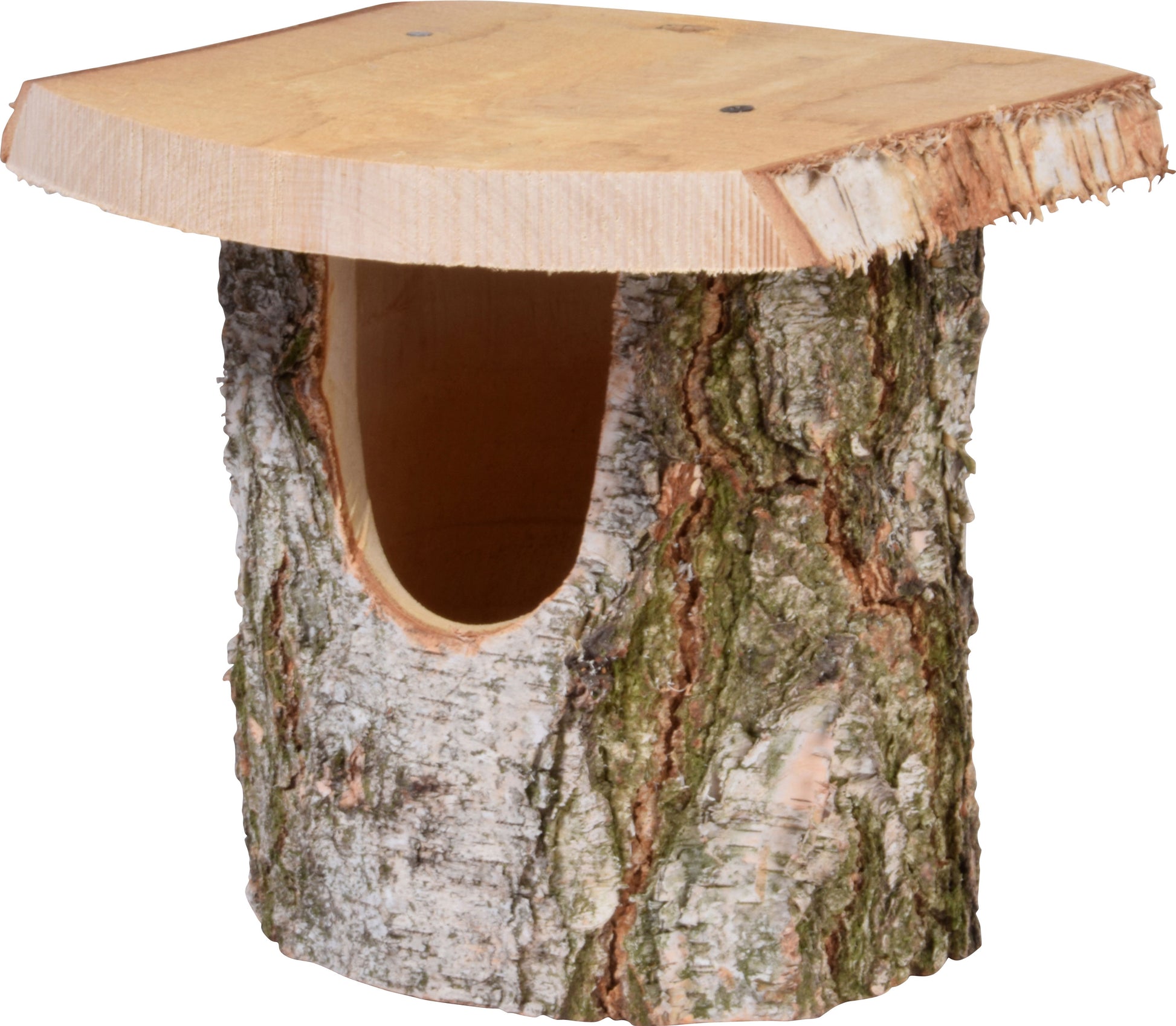 Handgefertigter Nistkasten aus FSC®-zertifiziertem Birkenholz, ideal für Rotkehlchen und Bachstelzen.