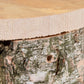 Handgefertigter Nistkasten mit naturbelassenem Birkenstamm und Rinde, wetterfest und langlebig.