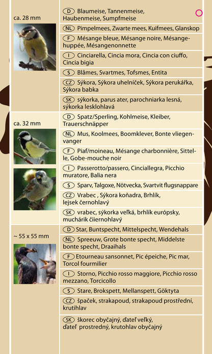 Handgefertigter Nistkasten, wetterfest imprägniert, perfekt für unauffällige Vogelbeobachtung im Garten.
