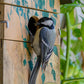 Art.22159e - Nistkasten Camouflage-Design "Birke" - Luxus-Vogelhaus.de
