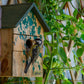 Art.22159e - Nistkasten Camouflage-Design "Birke" - Luxus-Vogelhaus.de