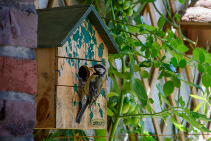 Art.22159e - Nistkasten Camouflage-Design "Birke" - Luxus-Vogelhaus.de