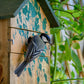 Art.22159e - Nistkasten Camouflage-Design "Birke" - Luxus-Vogelhaus.de