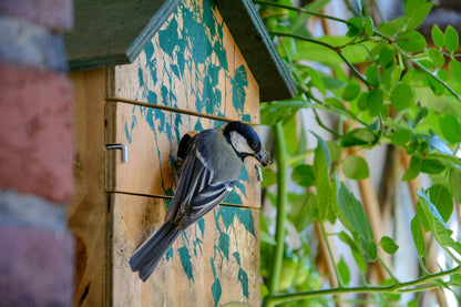 Art.22159e - Nistkasten Camouflage-Design "Birke" - Luxus-Vogelhaus.de