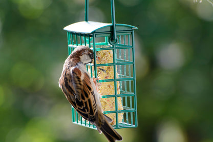 6 hochwertige Energieblöcke für Wildvögel inklusive Futterkörbe von LUXUS-VOGELHAUS.
