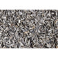 Art. 24096e - Wildvogelfutter | Gestreifte Sonnenblumenkerne 20 kg