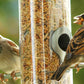 Art. 24098e - Vogelfutter Streufutter 20 kg - Luxus-Vogelhaus.de