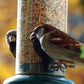 Art. 24098e - Vogelfutter Streufutter 20 kg - Luxus-Vogelhaus.de