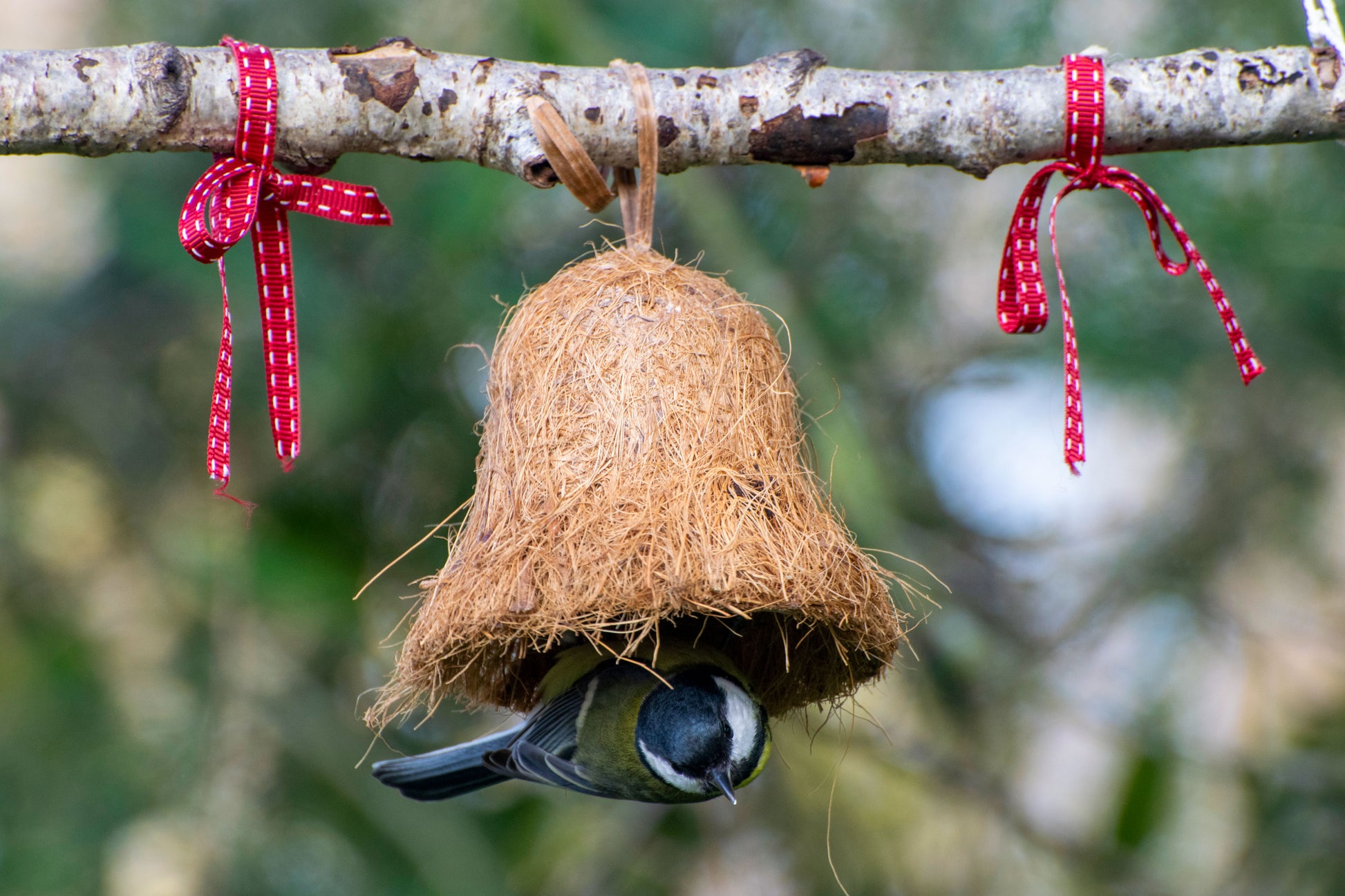 Wildvogelfutter in Futterglocken, vollständig biologisch abbaubar und einfach aufzuhängen.
