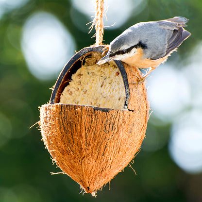 Vogelfutter-Set mit Kokosnüssen und Riesenzapfen – Nachhaltig und für die ganzjährige Fütterung.
