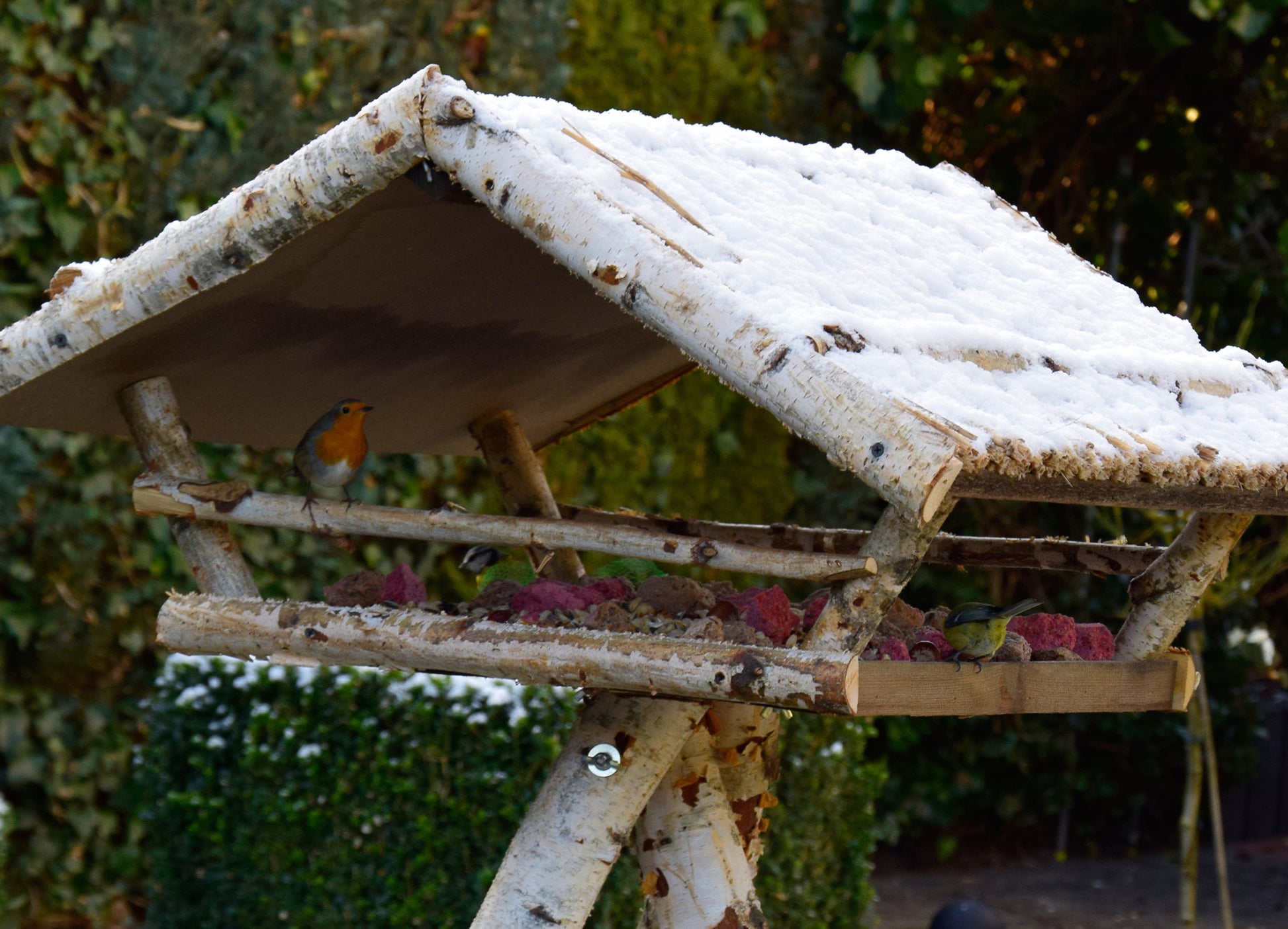 Vogelfutterstation - Kiefernholz, zum Aufhängen – Luxus Vogelfutterstation - Kiefernholz, zum Aufhängen – Luxus
