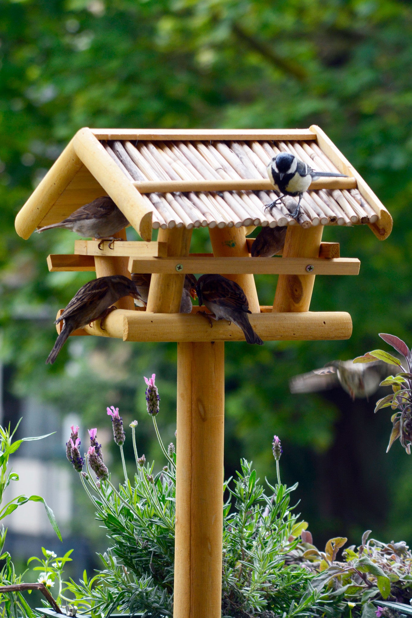 Vogelfutterstation mit Schilfdach und stabilem Standfuß, handgefertigt und ideal für naturnahe Gartenliebhaber.
