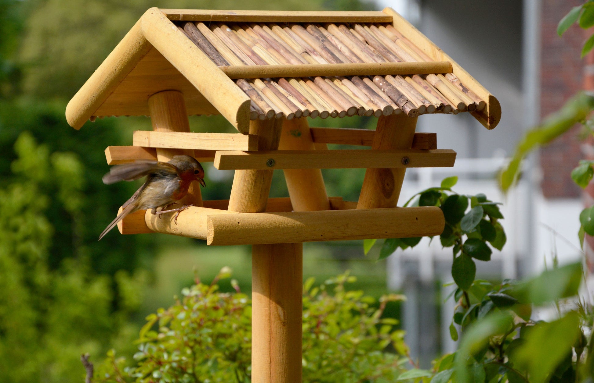 Kompaktes, wetterfestes Vogelfutterhaus aus FSC®-Holz, mit großem Dachüberstand und schützendem Schilfdach.