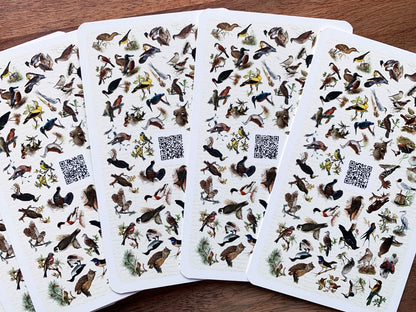 Wildvogel-Quartett „Fliegende Edelsteine“ – Unterstützt Naturschutzprojekte, entwickelt von Dominik Eulberg.

