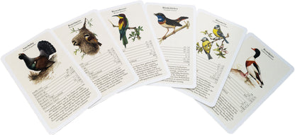 Kartenspiel mit Vogelstimmen – Spielkarten mit QR-Codes und Hintergrundwissen zu heimischen Wildvögeln.

